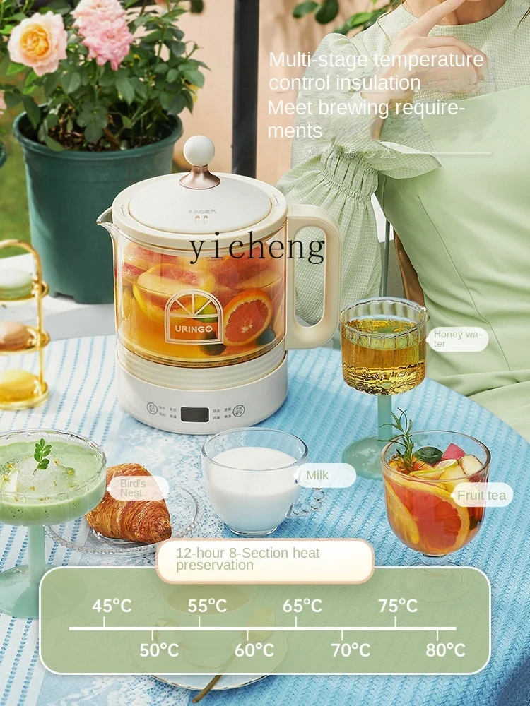 Hervidor de té multifuncional  - Health & Wellness Llc reseña y precio