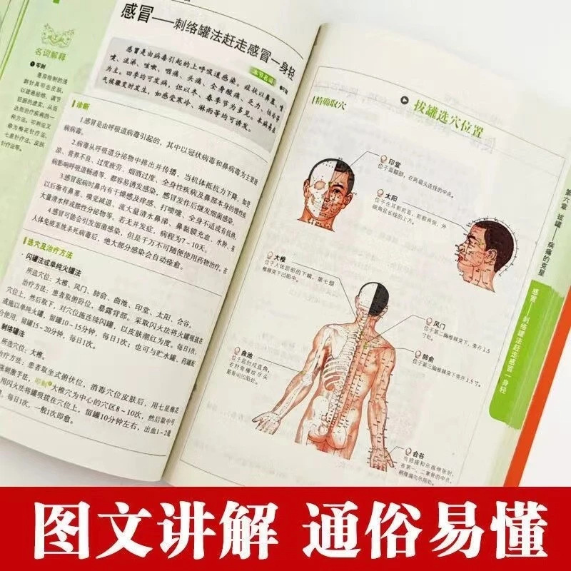 Serie de Salud y Bienestar Hol - Therapy Health And Wellness reseña y precio
